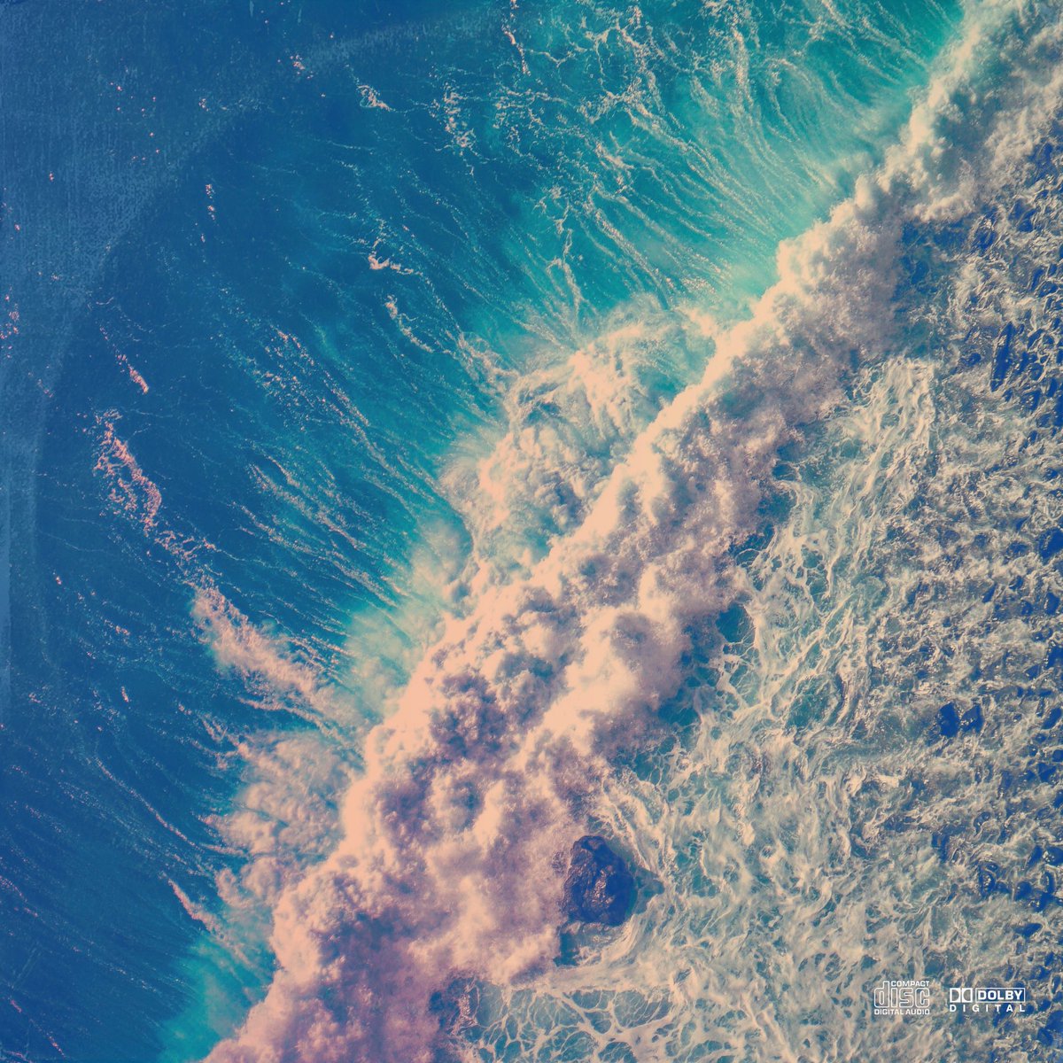 The Last Broadcast tweet media