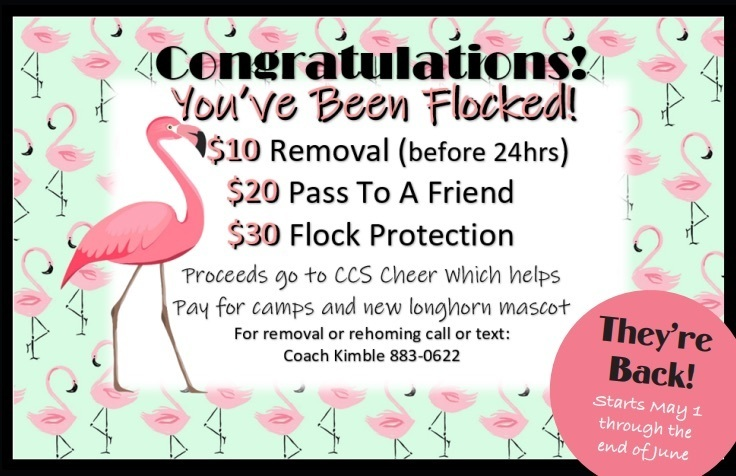 ccs_longhorns's tweet photo. The pink flock has returned and today marks the first yard claimed!  Congratulations! https://t.co/ITHnyT9bxp