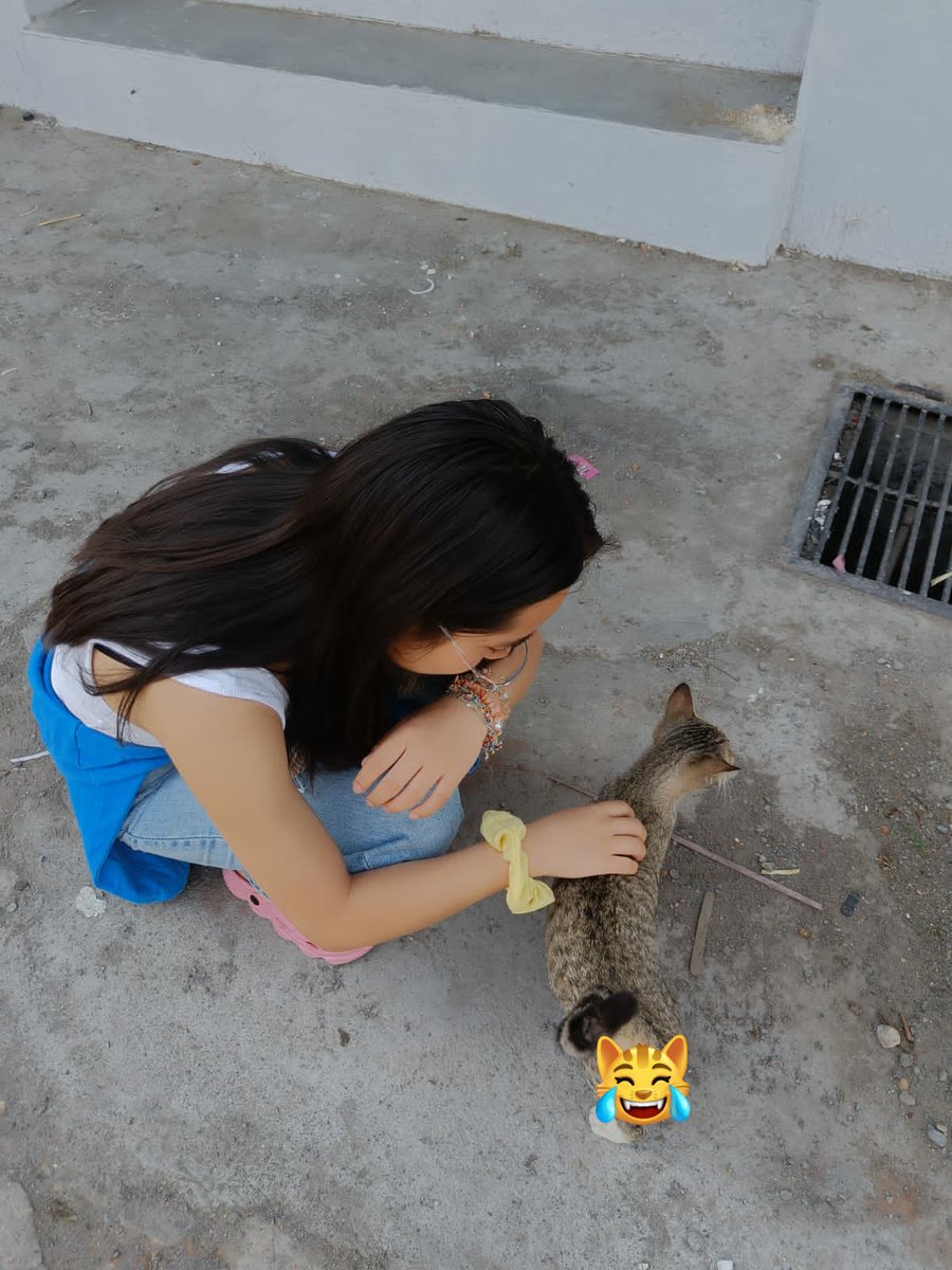 I'll be like  leaving social situations whenever i see a cat even when they don't like it i just go , grab and then kisses them sm