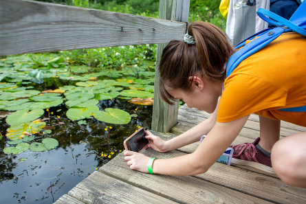 NASA Citizen Science tweet media
