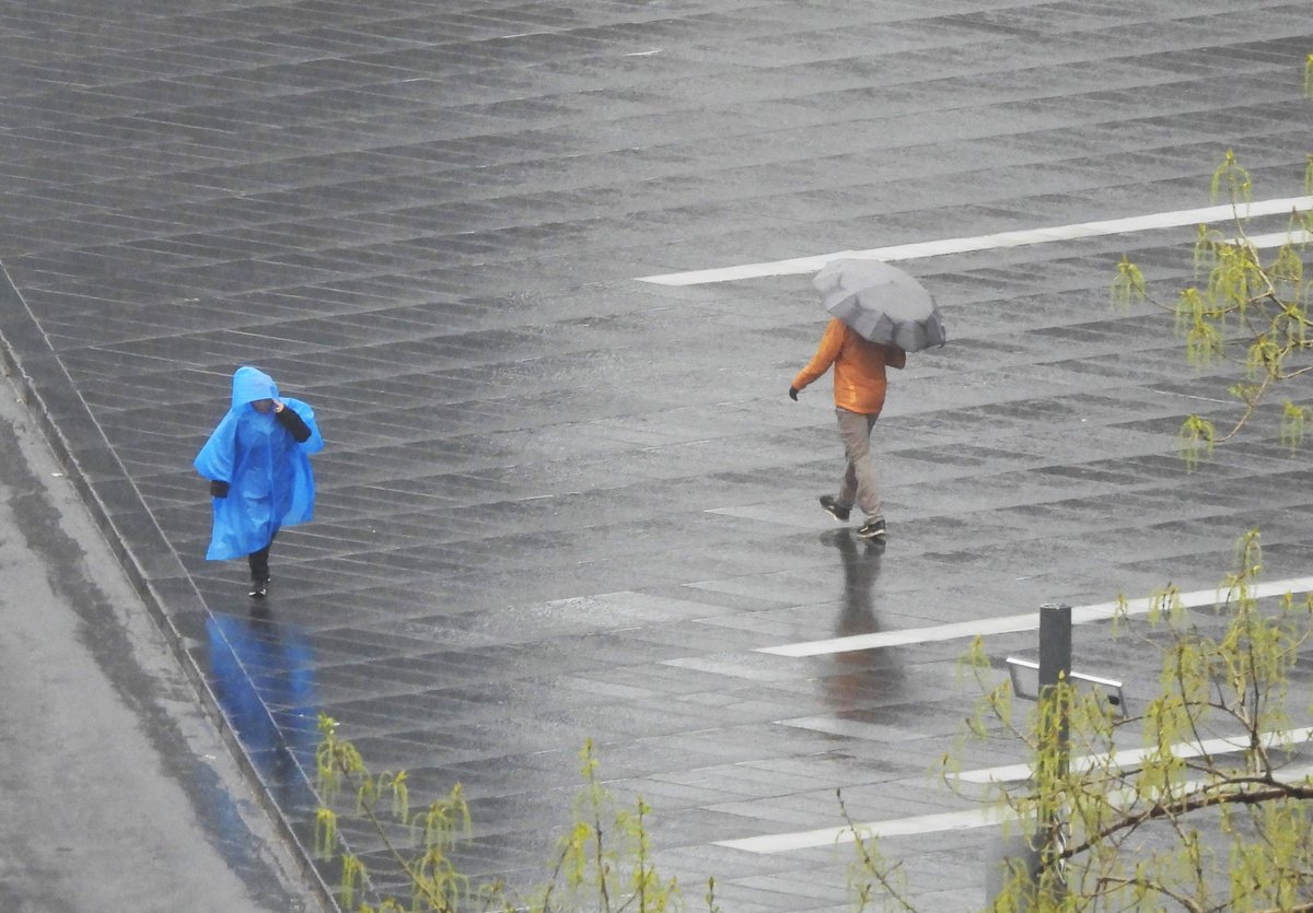 Aujourd'hui à Montréal faut faire une croix sur les rayons du soleil...

1er Mai Fête internationale des travailleurs. 

Et en ce jour du 1er mai j'habite le Colisée depuis 30 ans... (1993)

#LAGRC #Mtl 2023-05-01 8H35
CR. PH.: David Turbis Le Grand #DTLG #fêtedutravail #pluie