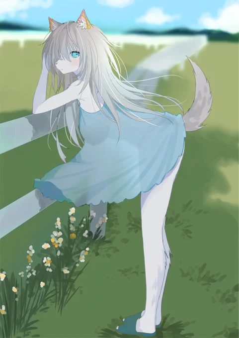 ハスキーちゃん #ケモノ #再掲したらフォロワーが増えるらしい