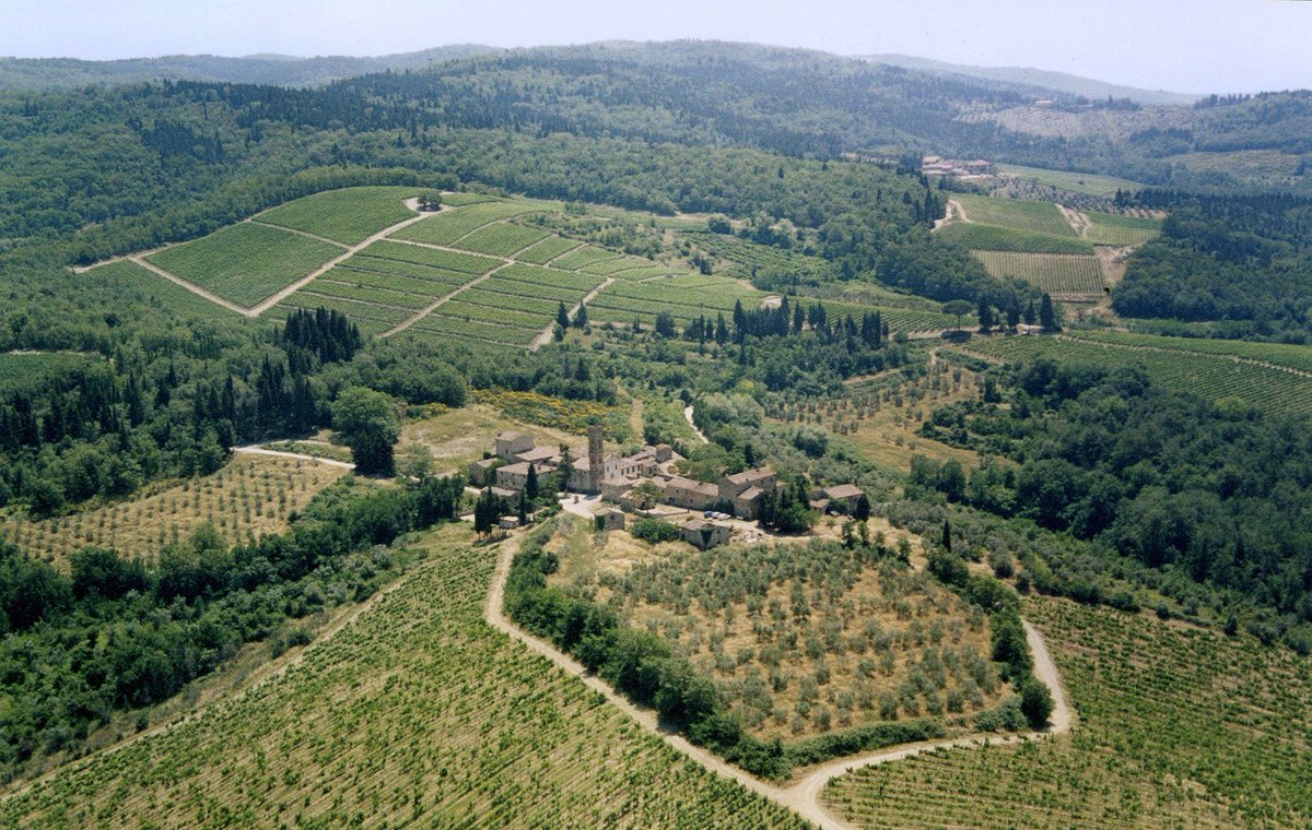 FolioWine tweet media