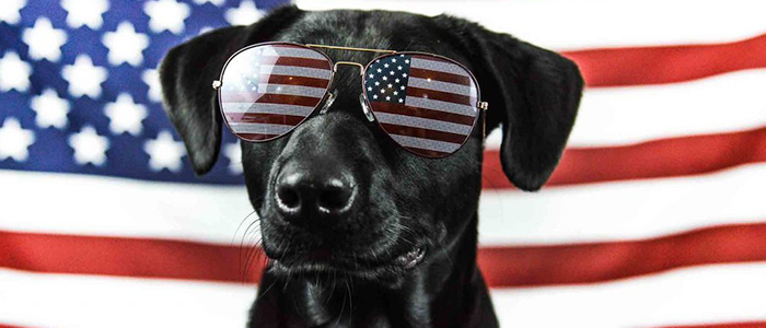 1EverydayHelper's tweet photo. It's May! - We have you covered for Mother's Day and Memorial Day. Also check out our new open positions! https://t.co/t8ZcjLFbqU https://t.co/YBlZ6qwMGM