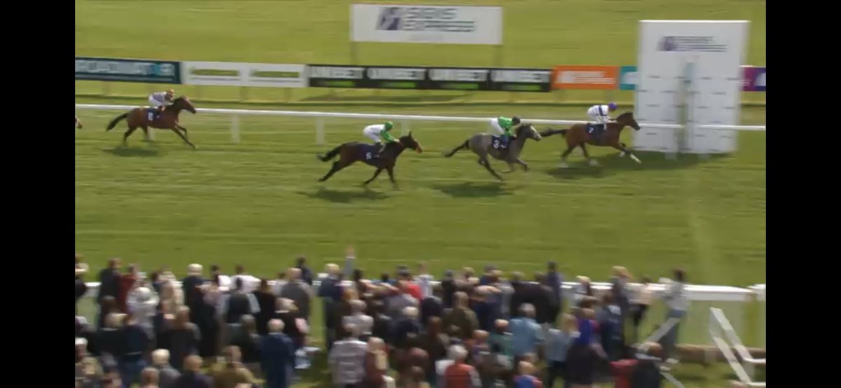 GGeezerTips's tweet image. Only a 🥉 for Marroof sadly 🥲