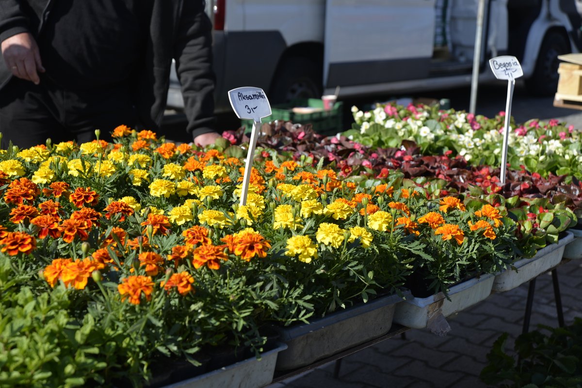 Centrum Rozwoju Komunalnego tweet media