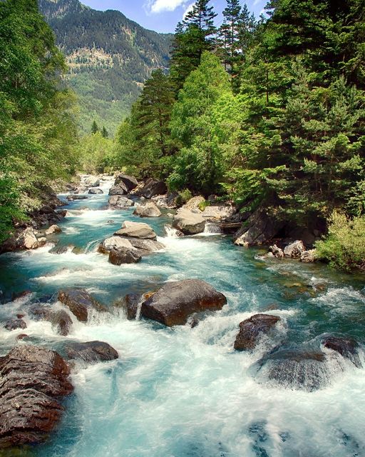 Huesca_LaMagia's tweet image. El Río Ara 💦 a su paso por Bujaruelo 🌲, último río virgen del #pirineo cargado de naturaleza salvaje.
#huescalamagia #excursiones #escapdaprimavera #ordesa #turismoespaña #visitspain