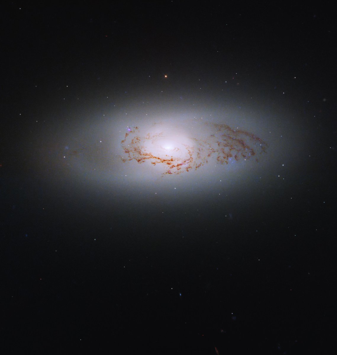 Welcome to #BlackHoleWeek!

To celebrate, Hubble has new images to share featuring active galactic nuclei, or AGNs. Some galaxies contain AGNs, which are extremely bright central regions that host a supermassive black hole! 

First up, feast your eyes on NGC 3489 ⬇️