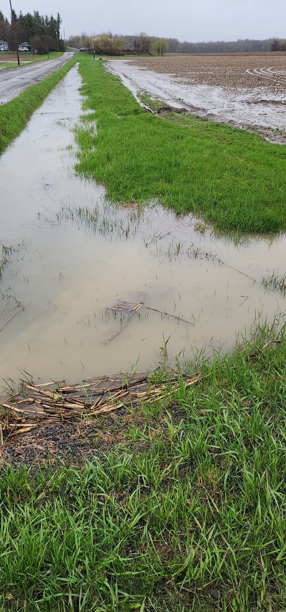 Foster Family Farm tweet media