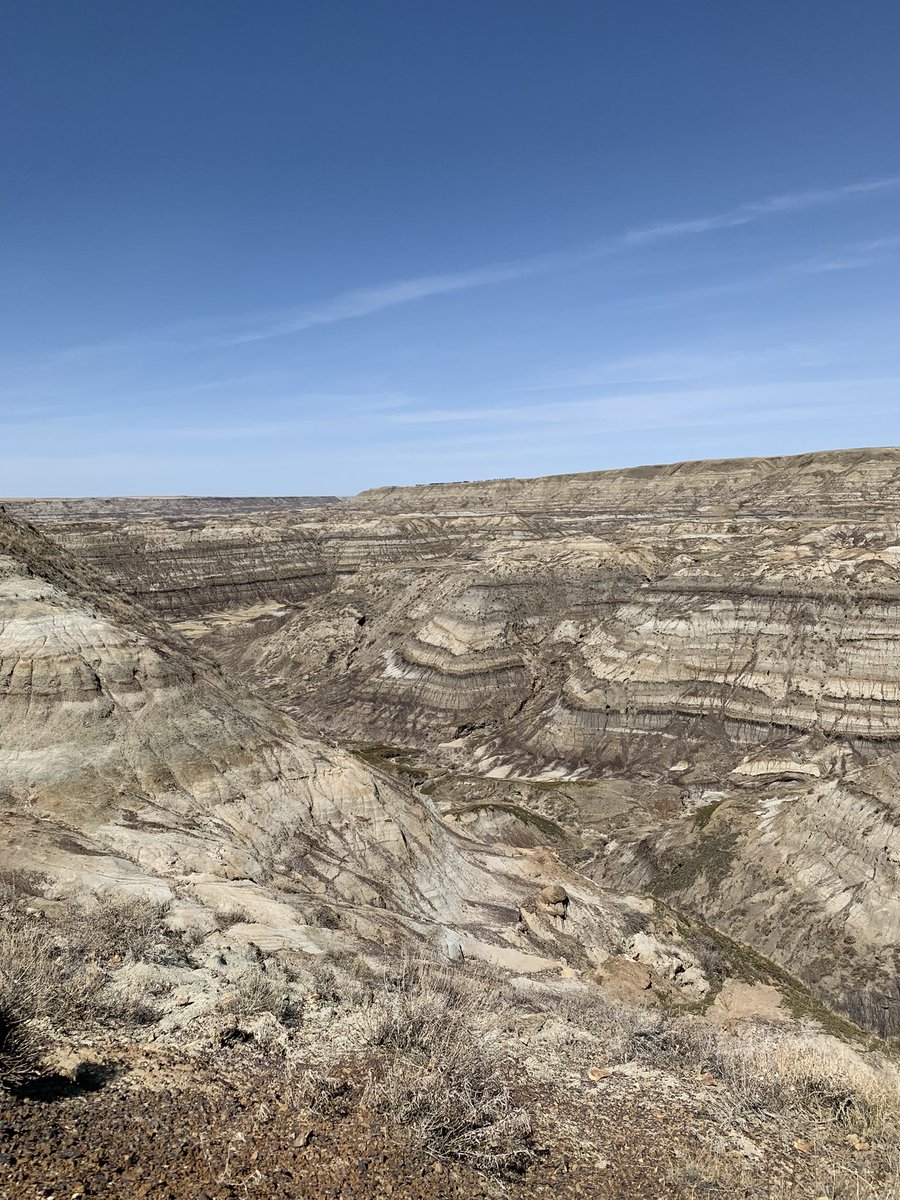 Prairies 2 Mountains tweet media