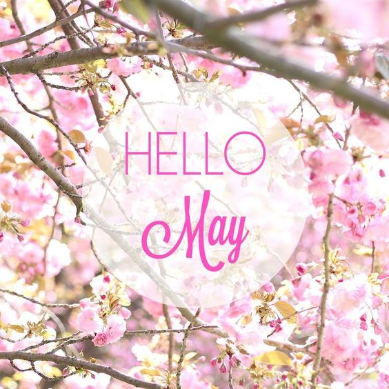 ZenRadioHQ's tweet photo. Welcome beautiful May! We wish you a wonderful new month.
โMay, more than any other month of the year, wants us to feel most alive.โ โFennel Hudson
https://t.co/daQqr14HXp
๐ธ
#WelcomeMay #HelloMay #WiseWords #MayQuotes #RelaxingMusic #PeacefulMusic #SoothingMusic #ZenRadio https://t.co/Y9wvw6mAHB