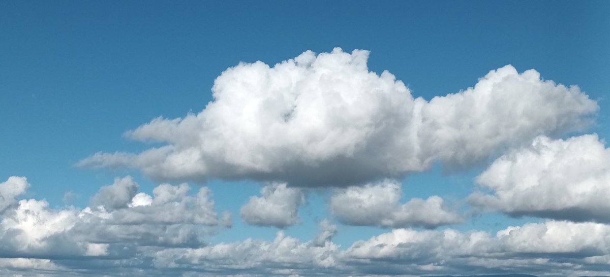 La mayor rémora de la vida es la espera del mañana y la pérdida del día de hoy.

Séneca