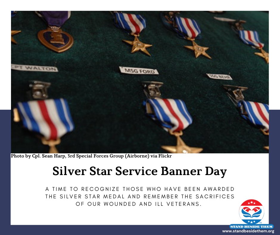 Stand Beside Them wants to take this time to recognize Silver Star Service Banner Day and to thank our veterans for their sacrifice.

#StandBesideThem #supportourveterans #SilverstarBannerDay