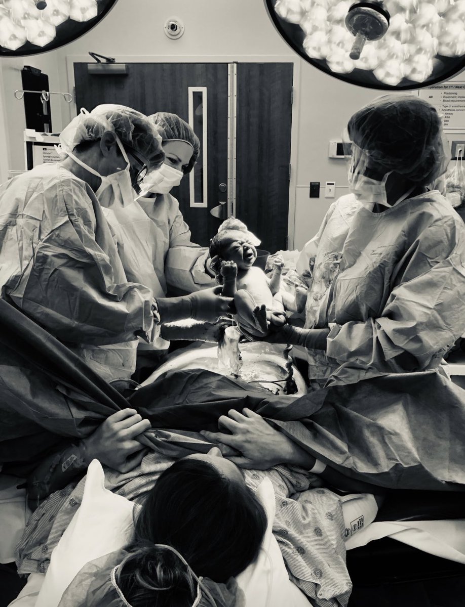 MDJ | Danielle Jones, MD, FACOG tweet media