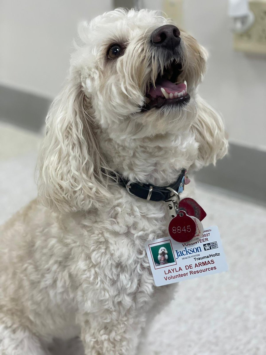 Layla 🐶, one of our cutest volunteers in Jackson’s Hounds on Rounds pet therapy program, spreads cheer – and smiles 😄 – to our little patients at Holtz Children's Hospital. We love our furry volunteers!