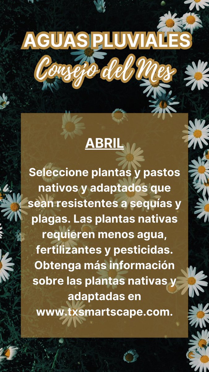 #StormWaterTips #Consejos #Aguaspluviales #BalchSpringsTx