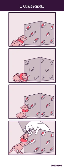 猫五悠 