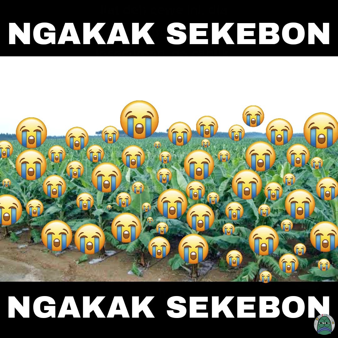 tanyarlfes's tweet image. 💚 Guys sender lagi membutuhkan hiburan video lucu dari kalian yg bikin ketawa ngik ngik wkwkwkwk hahaha kkkkk .... Yuk keluarkan harta karun kalian 🙏🏼