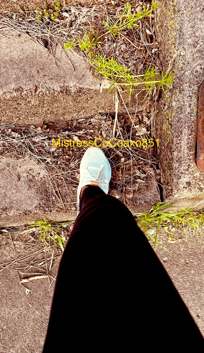 MistressCocoaxo's tweet photo. Stepping you beta losers you don’t deserve to see more than this. Just like those leaves I step on you. 
Findom | feet | sneakers | cashapp | goddess | goon | findom goddess | worship | tribute | ebony goddess https://t.co/3NY1bQ9PJ4