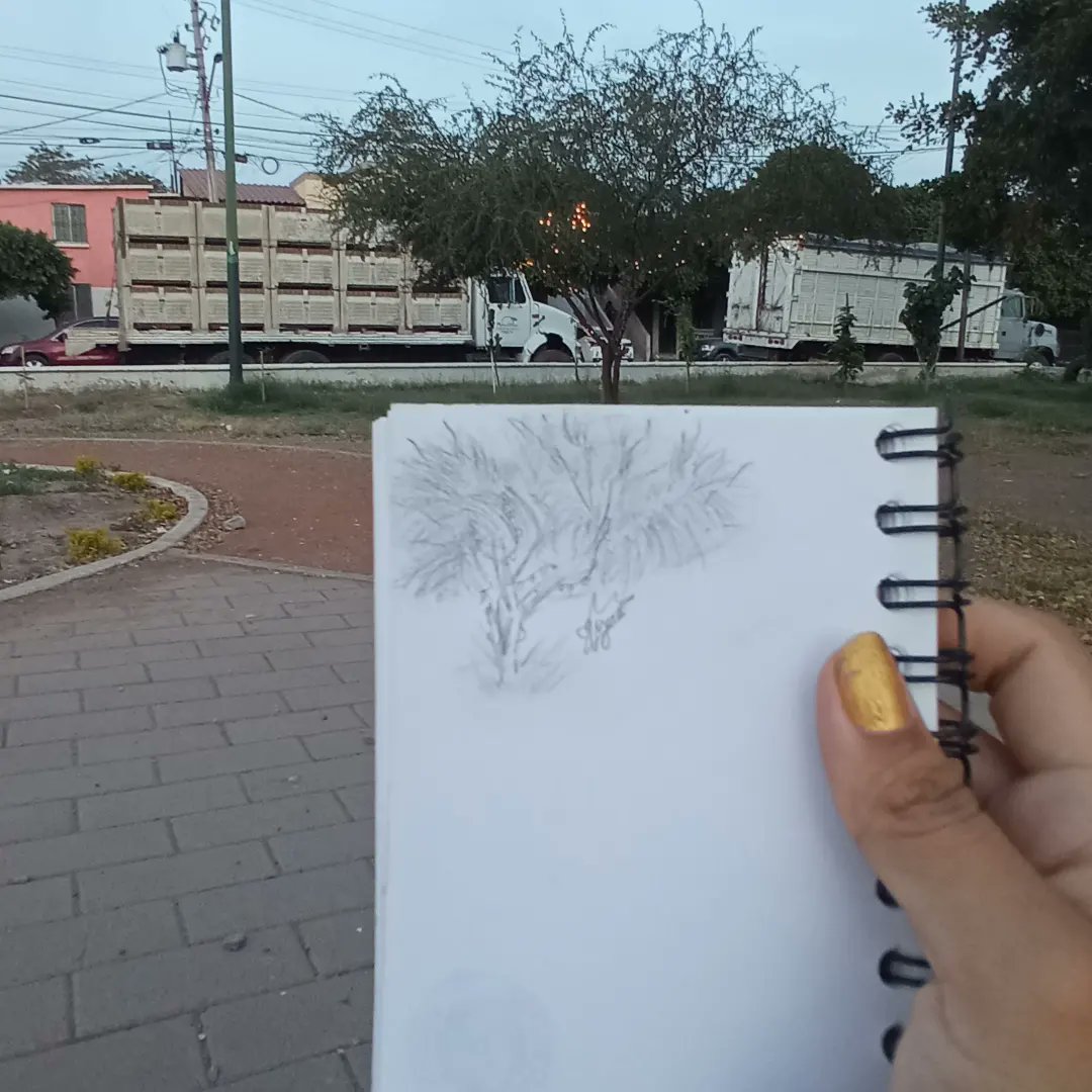 syanaleue's tweet photo. Holis salí a dibujar y solo hice esto jsjsjs re poquis pero me salió algo mal 😫
Debo practicar nueva mente..🙏✨
 #boceto #boceteando #dibujotradicional #viral #draw #art #arboles https://t.co/8gjrQv80I3