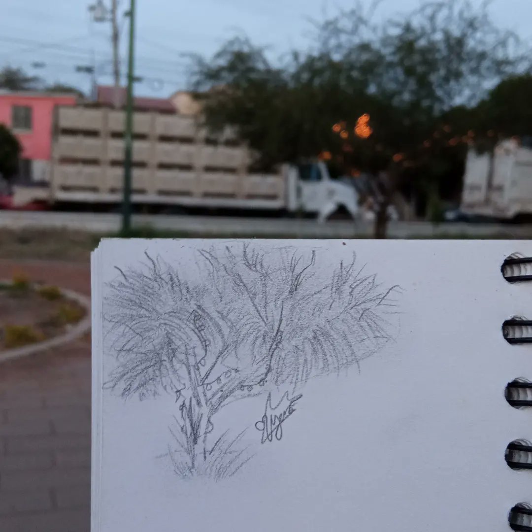syanaleue's tweet photo. Holis salí a dibujar y solo hice esto jsjsjs re poquis pero me salió algo mal 😫
Debo practicar nueva mente..🙏✨
 #boceto #boceteando #dibujotradicional #viral #draw #art #arboles https://t.co/8gjrQv80I3
