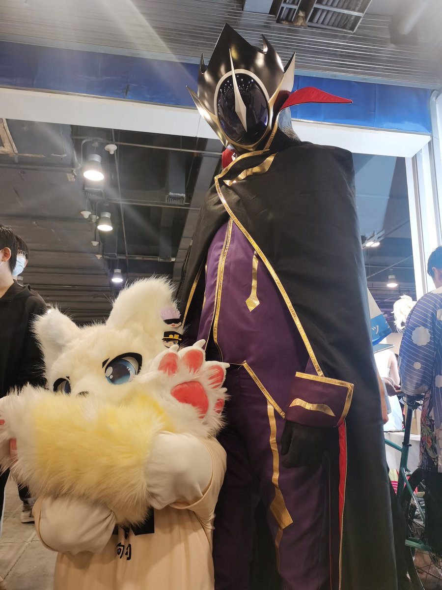 放一些小狗的照片，是之前北京的ijoy