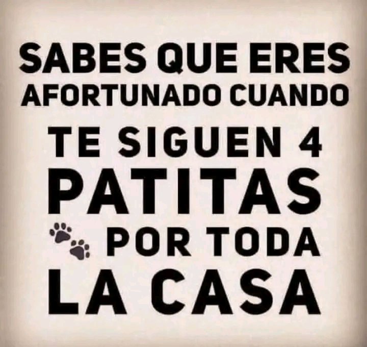 ¿Cuántos afortunados tenemos en Twitter? 🐾