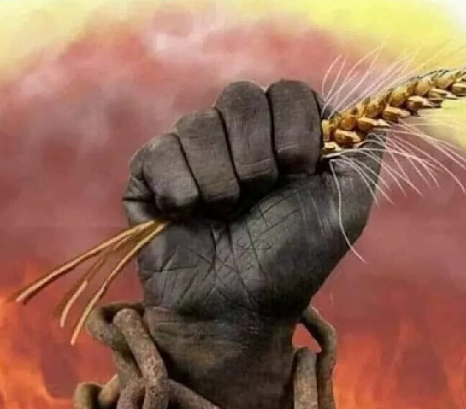 Ekmek pahalı, emek ise ucuzdu!
#1MayısİsciBayramıKutluOlsun 
#1Mai2023 
#BijiYekGulan