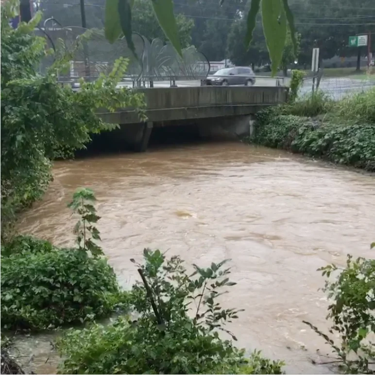 CharMeck Storm Water tweet media