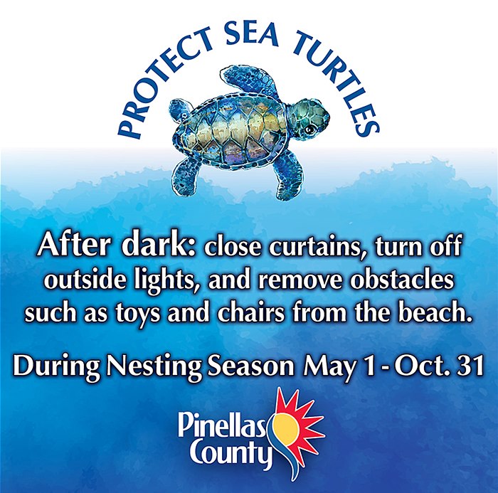 PinellasGov's tweet photo. Spread the word and help protect our #seaturtles. Lights and sand castles, beach equipment and trash left behind are all obstacles for them to enter the water safely. #KeepTheBeachClean #SaveTheTurtles #PCPWK https://t.co/eFrqOOo8kH