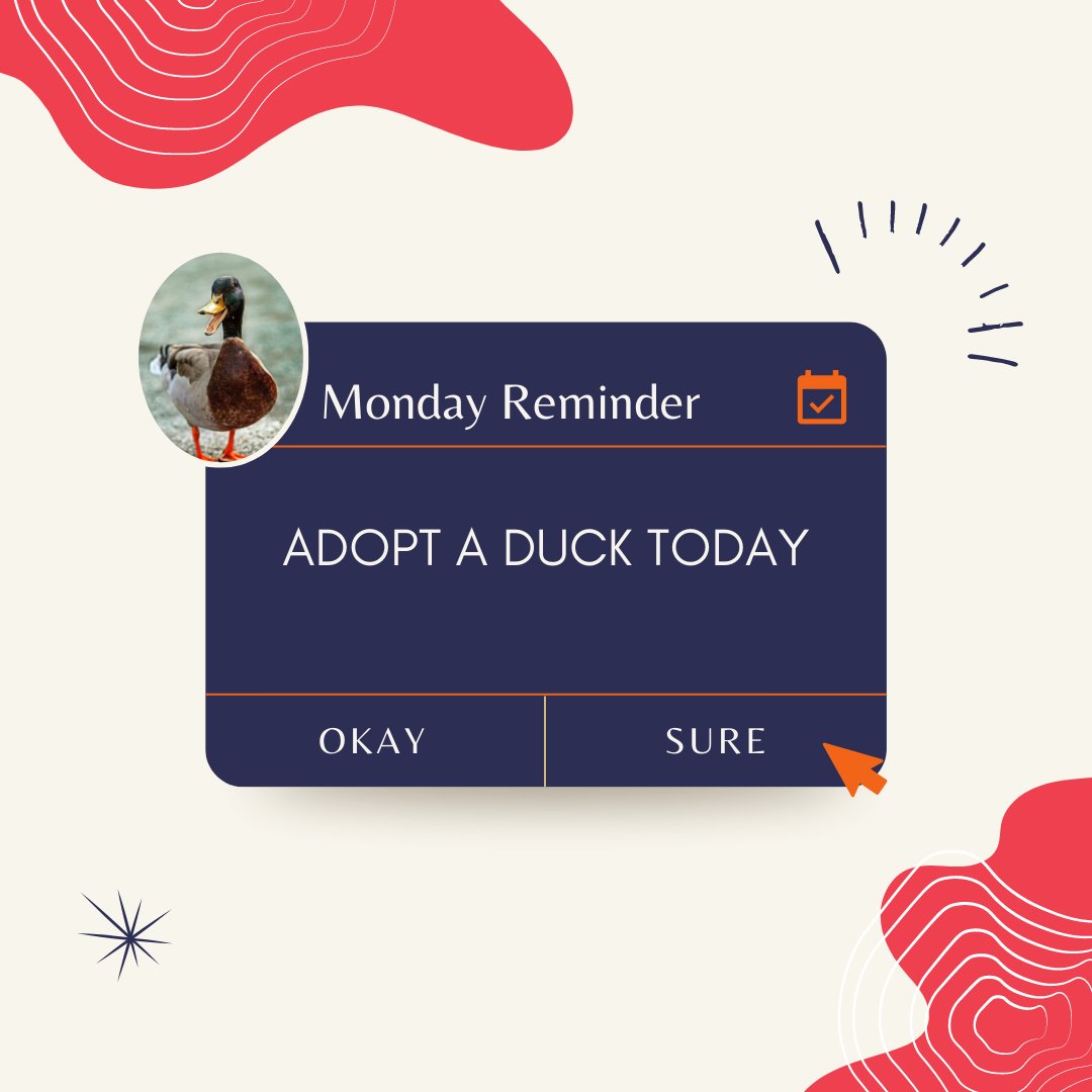 Its officially Duck Derby week and we want to give you and all your friends a little Monday morning reminder to adopt your ducks for duck derby!!! 

Visit the link in our bio to secure your chance to win some incredible prizes!