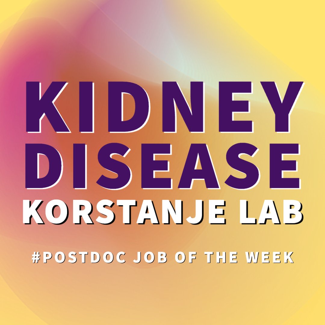 #Postdoc job of the week: Join the <a href="/KorstanjeRon/">Ron Korstanje</a> lab to study the role of proteins and #microRNAs that have recently been associated with the progression of #diabetickidneydisease:

…cksonlaboratory.wd1.myworkdayjobs.com/en-US/External…

#postdocs #postdocjobs #sciencetwitter