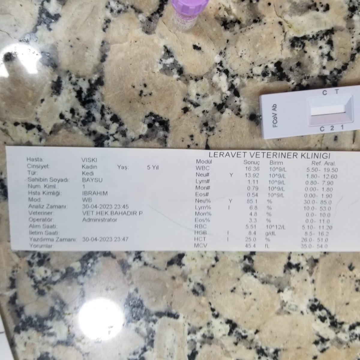 tapinaksahaf's tweet photo. Desteğinizi istiyorum kızımın fip'i atlatması için. 
Oldukça pahalı bir tedavi.

Twitter ve Instagram hesaplarımda yüzlerce kitap satışta şu an.
Alarak destek olursanız sevinirim.

Hero adlı ilaçtan ilk şişeyi sipariş ettim. Kurye bugün getirecek. Yarın tedaviye başlayacağız.

Vereceğiniz desteği unutmam hiçbir zaman.