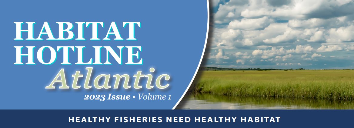 Check out the latest edition of the Habitat Hotline covering conservation stories from the Atlantic Coast!
asmfc.org/uploads/file/6…