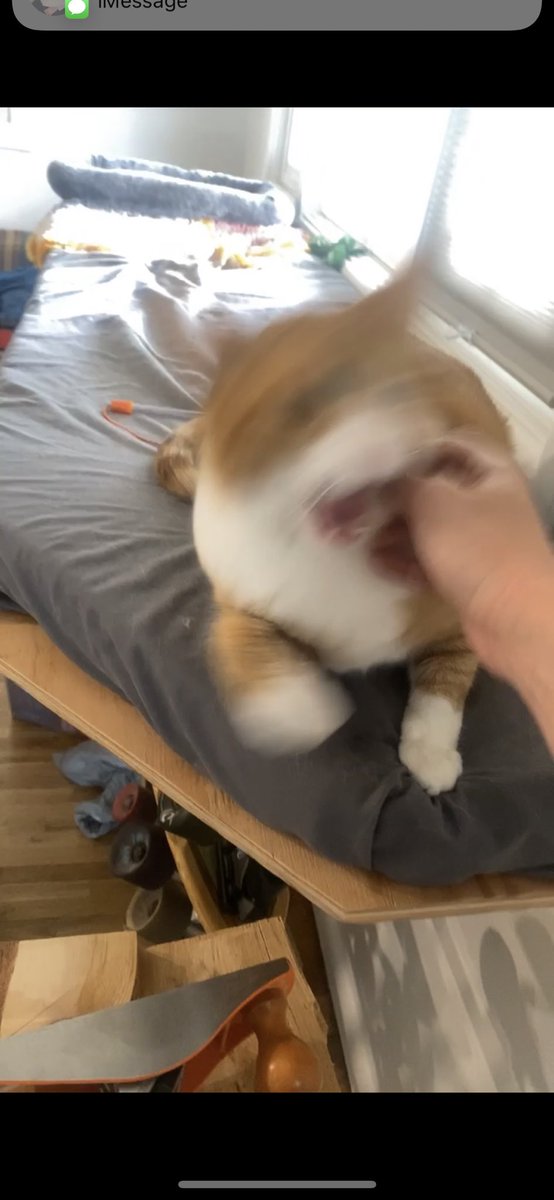 jeezalli's tweet photo. yung fuzz said there’s nO rewm four me on pernch https://t.co/ETwzqq1mST