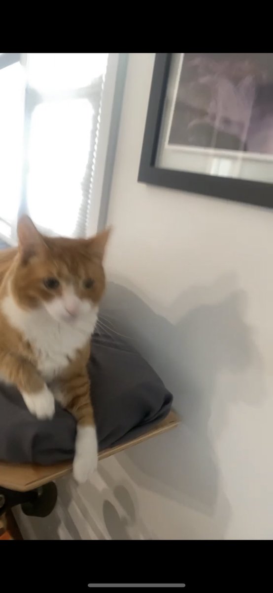 jeezalli's tweet photo. yung fuzz said there’s nO rewm four me on pernch https://t.co/ETwzqq1mST