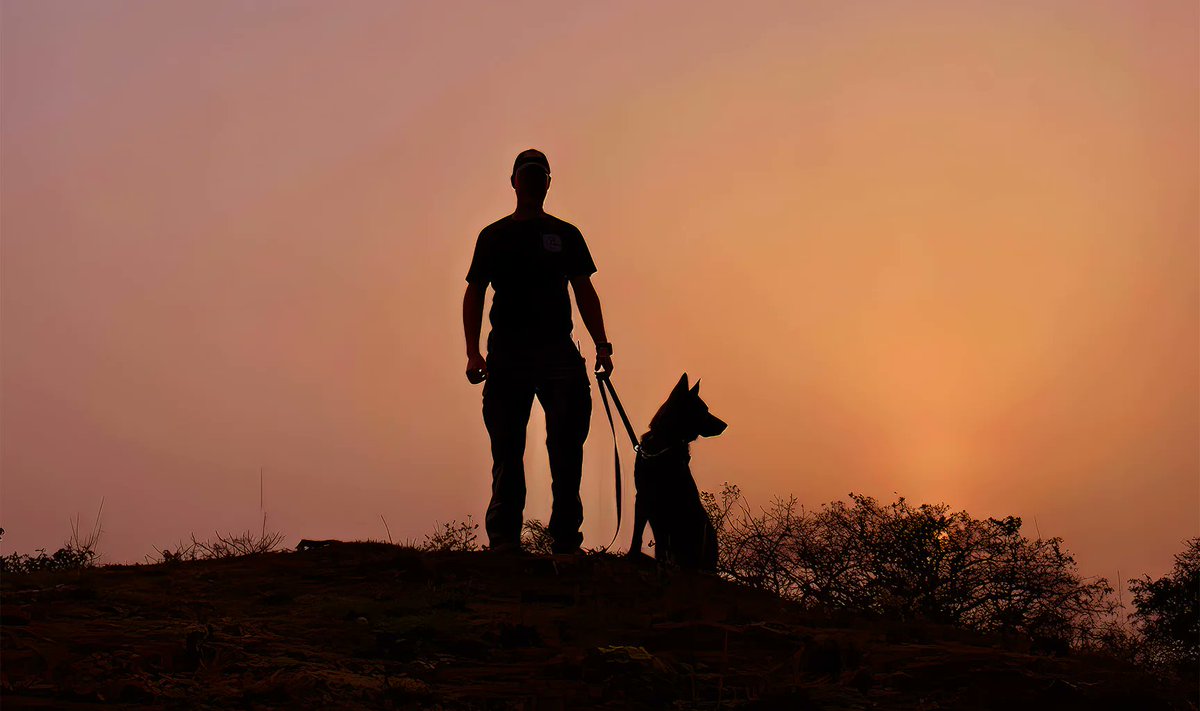 "Join the fight against illegal wildlife poaching and protect our planet's precious biodiversity. #WearYourKarma with handcrafted jewellery that supports conservation projects like Invictus K9." via @Wild_In_Africa 

wildinafrica.store/blogs/wildlife…