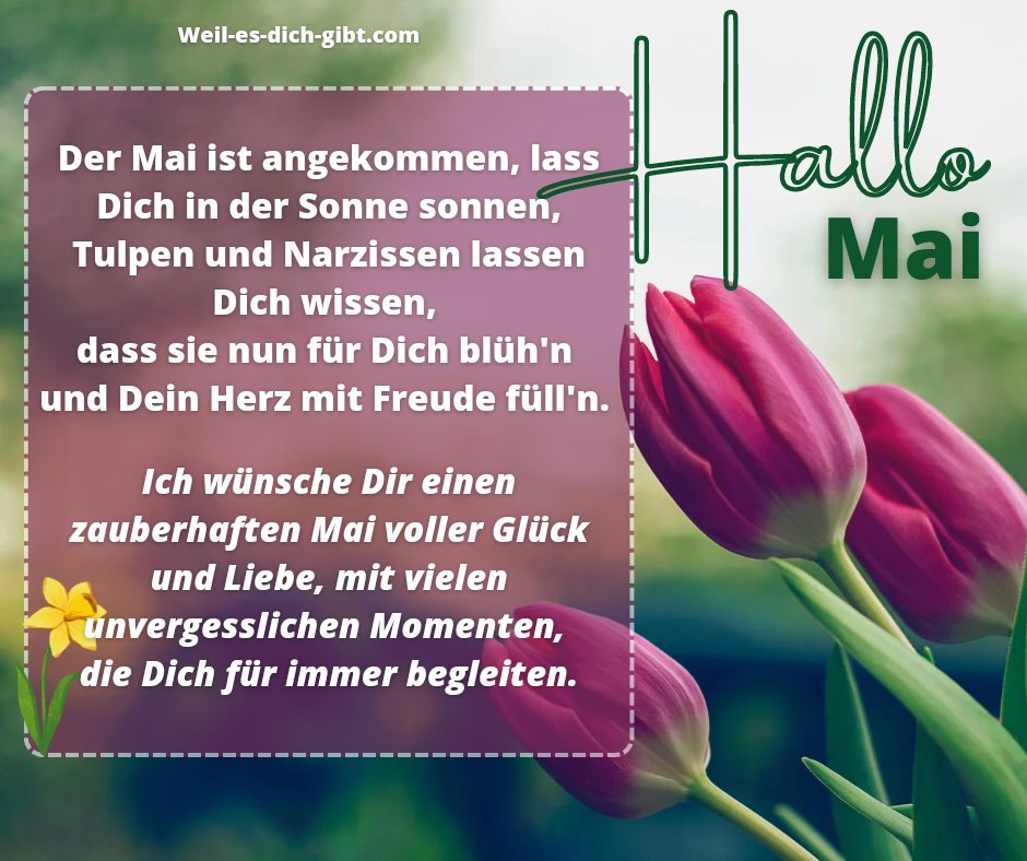 blumenfuerdich's tweet photo. 💐 Der Mai ist da: Liebe Grüße von uns an Euch! 💖

#Mai #Frühling #Liebe #Glück #Grußbotschaft #Blumen #Natur #Feiern #Fans #HerzlicheGrüße https://t.co/gVSIzDvc4B