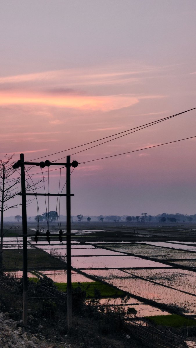 SaklinM44333061's tweet image. Nasha aasma ka jo choomta tumhe bho, hasrate tumhari naya janm paati; khud doosre janm me meri udaan chhoone kuchh door tum bhi saath saath aate.

#photography #uddan #poetry