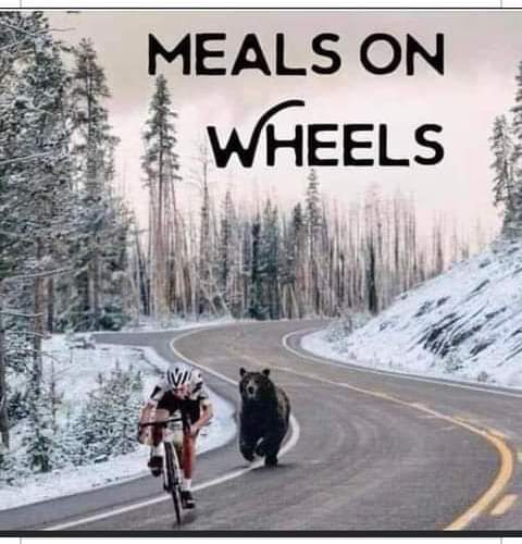 TexanLady tweet media