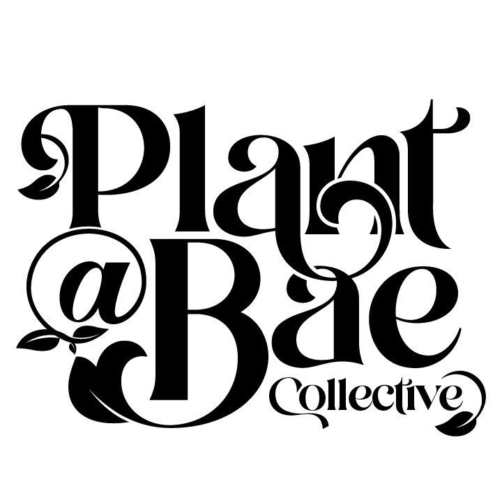 PlantBaeCo_'s tweet photo. New logo—who dis?
 
Thanks @OkSoMik 🪴🤎 https://t.co/OcAgyYC8G1