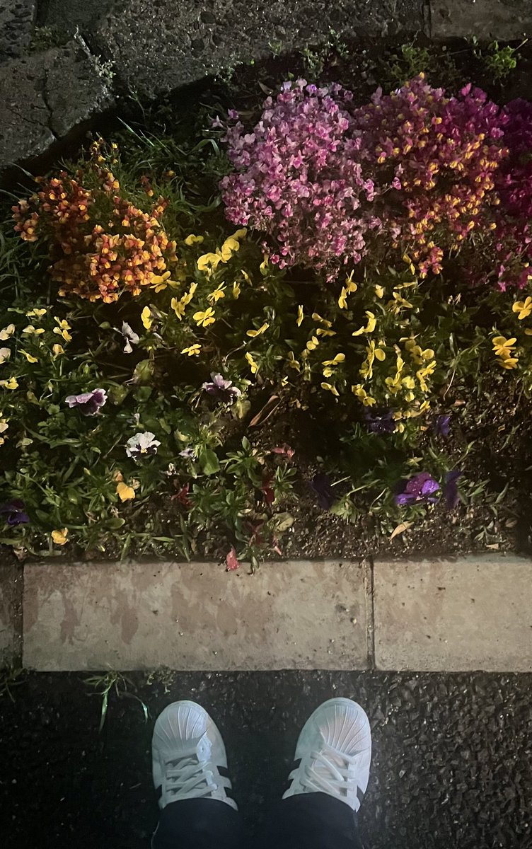 ʀɪɴᴀ tweet media