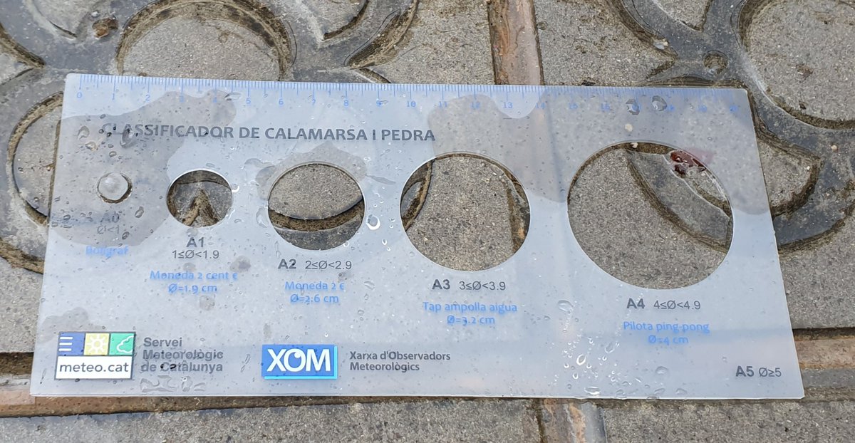 Tempscanet tweet media