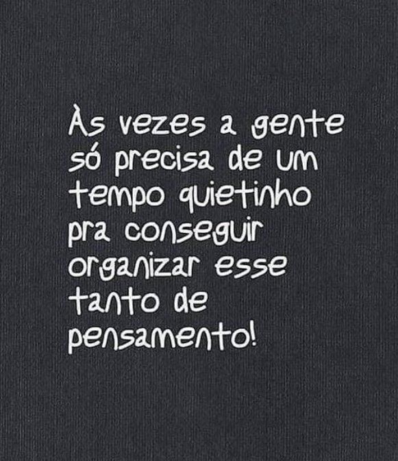 Frases Armandinho tweet media