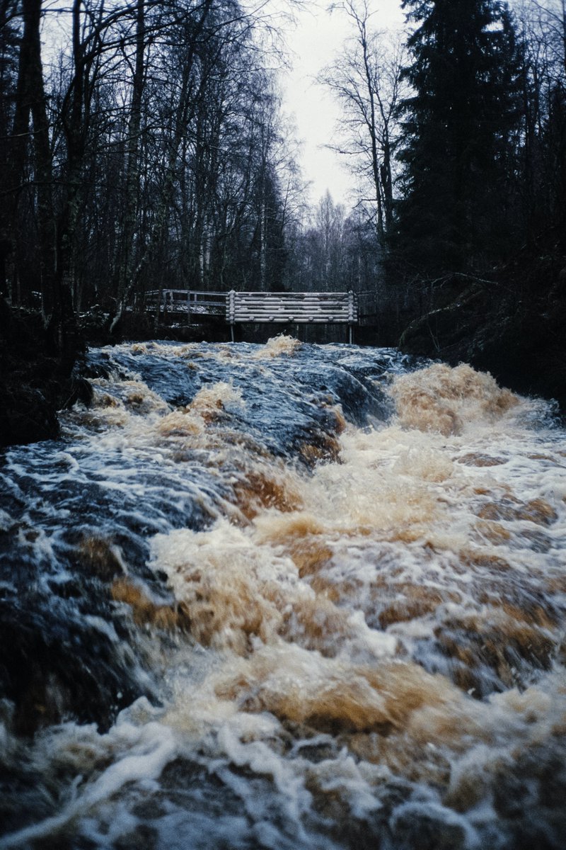 PEMAHQ's tweet photo. Look 6: Flood 🌊 https://t.co/0rasilO7Vv