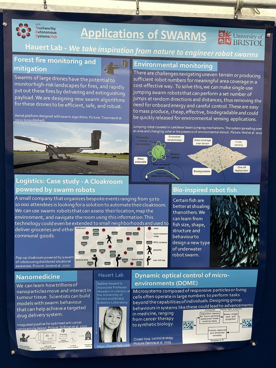 sabinehauert's tweet photo. Well done to the swarm team for putting together a great set of posters and transforming kids (and growups) into little box collecting swarms at the #somerscience festival! Thanks @suetl_, @matimbaswana, @neshika_w, Fern, Razanne, Katie and Miranda! @tas_function https://t.co/nydsCI6fCi