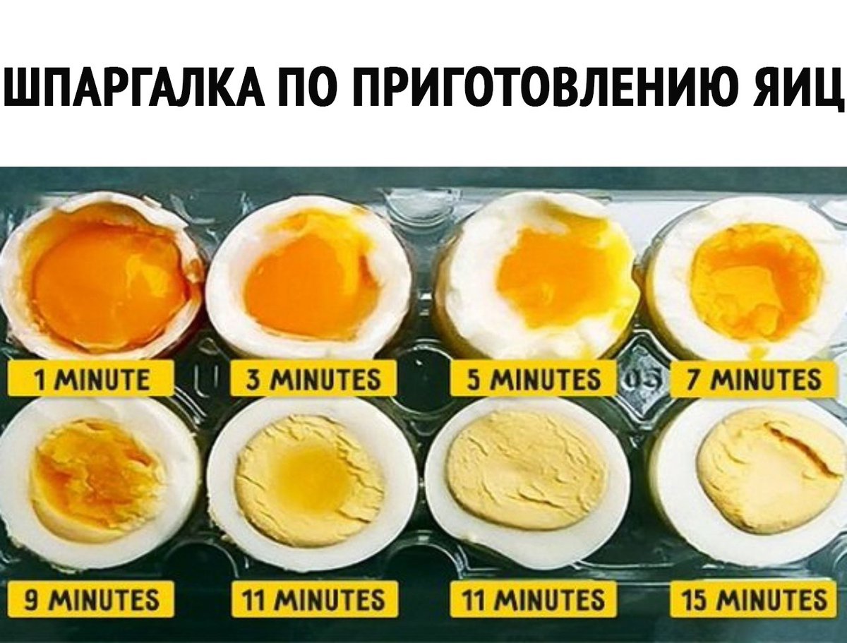 FlegerCook's tweet image. А вы сколько минут варите яйца?