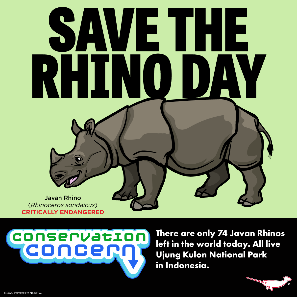PepomintNarwhal's tweet photo. #SaveTheRhinoDay
#ConservationConcern #JavanRhino - only 74 left!
Shop the #PeppermintNarwhal store:
https://t.co/bQXxNGbEjD
#Rhino #SaveTheRhino https://t.co/wNxqeK1zLf