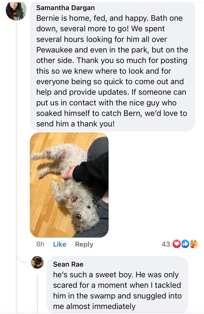 SDRCMINING's tweet photo. It may not be stock-related, but events like this deserve to be discussed.
@SeanRaeZalewski, our CEO, played the part of hero last night, rescuing a pup ๐ถ in distress. A absolutely remarkable story. โค๏ธ
#SAVEALLTHEDOGS $SDRC https://t.co/3P6WRQA7GF