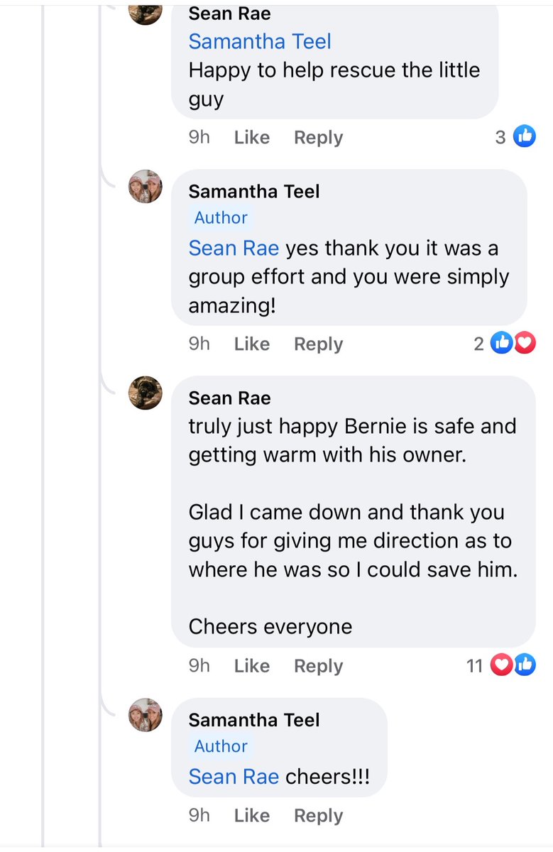 SDRCMINING's tweet photo. It may not be stock-related, but events like this deserve to be discussed.
@SeanRaeZalewski, our CEO, played the part of hero last night, rescuing a pup ๐ถ in distress. A absolutely remarkable story. โค๏ธ
#SAVEALLTHEDOGS $SDRC https://t.co/3P6WRQA7GF